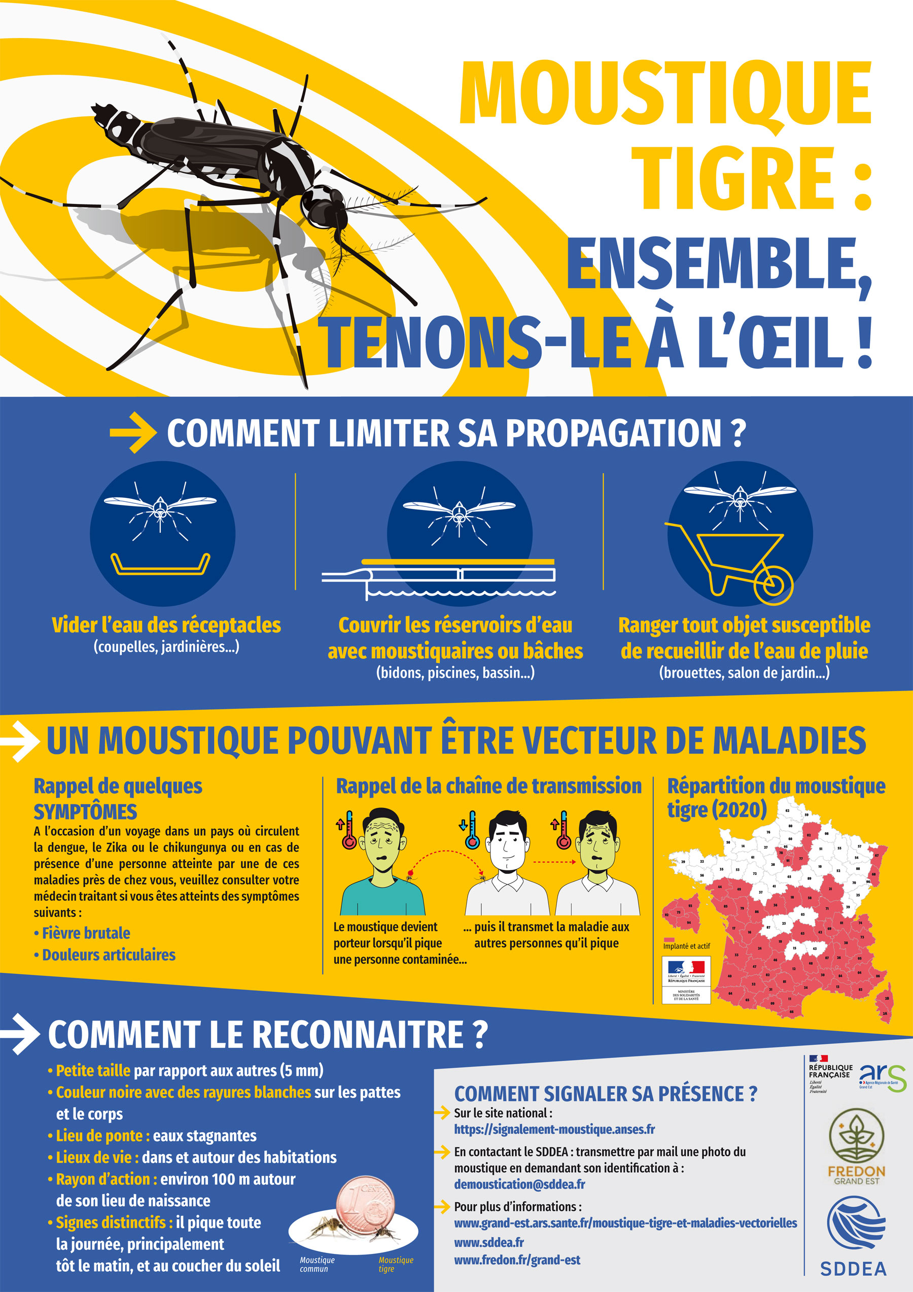 Troyes et les communes de l'agglomération mettent en place des campagnes de  traitement anti-moustique