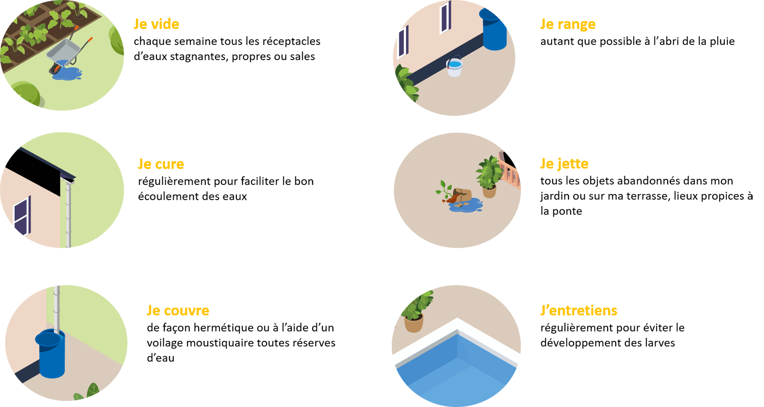 Moustique_tigre_consignes Consignes pour limiter la présence du moustique tigre