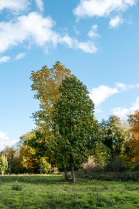 Empreinte_carbone_photo_visuel